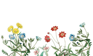 春天植物花草花卉可编辑分层