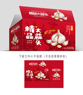 大蒜头包装
