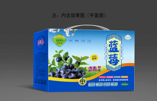 蓝莓包装