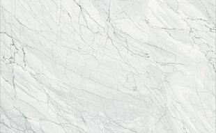 鱼肚灰网纹大理石