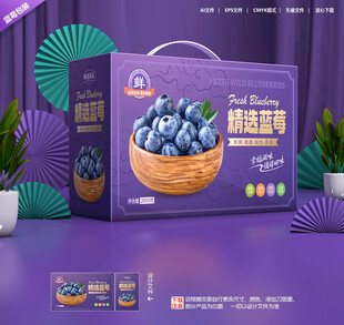 蓝莓包装 水果礼盒