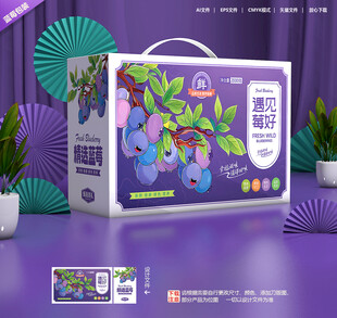 蓝莓包装 水果礼盒