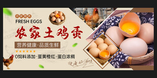 土鸡蛋