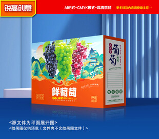 葡萄包装 阳光玫瑰礼盒