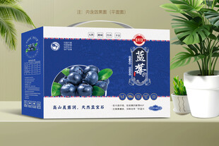 蓝莓包装
