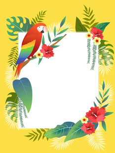 夏日彩色鹦鹉花朵花卉植物边框