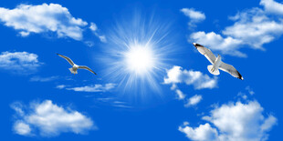 蓝天白云天花软膜