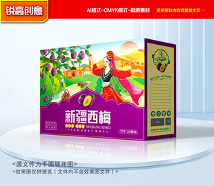 西梅包装 梅子礼盒