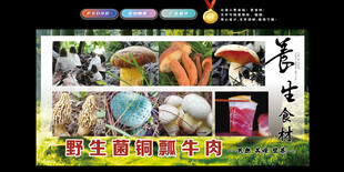野生菌铜瓢牛肉
