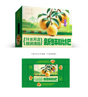 枇杷包装