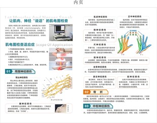 神经电生理图 肌电图