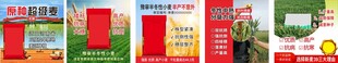 农化小种子网页主图详情图
