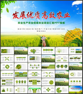 绿色农业产业ppt模板