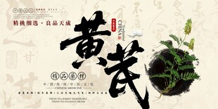 黄芪中药材