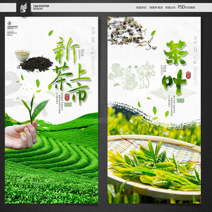 新茶上市 品味春日茶香
