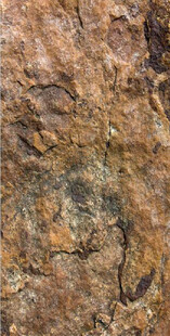 粗糙岩石纹理特写