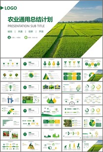 绿色农业产业总结计划ppt模板