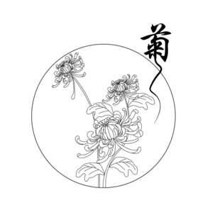 菊 矢量图