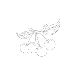 手绘樱桃线条图 矢量图