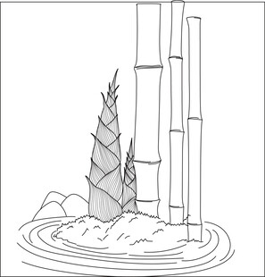 水墨风竹笋与竹子插画 矢量图