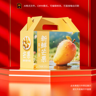 芒果包装盒展示