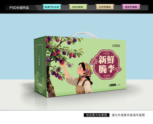 李子包装 黑布林礼盒