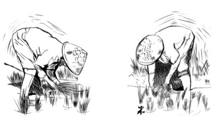 农民田间弯腰劳作场景