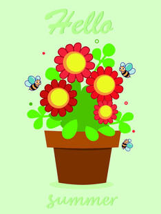 夏日盆栽花卉与蜜蜂