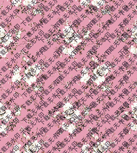 乱花   数码印花   女装