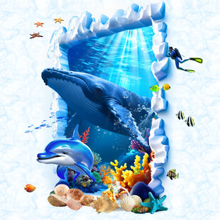 鲸鱼立体化