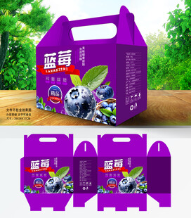 蓝莓包装
