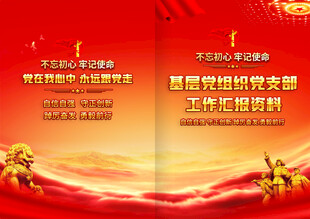 基层党组织工作汇报封面