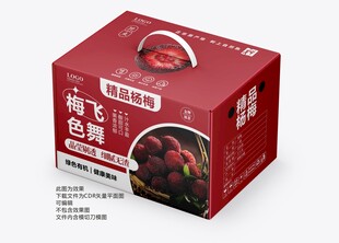 杨梅手提礼盒包装