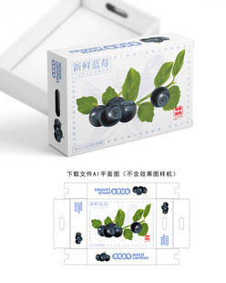 蓝莓礼盒 