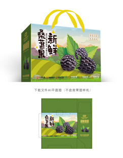桑葚包装