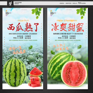 西瓜海报