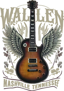 沃伦吉他 纳什维尔风格