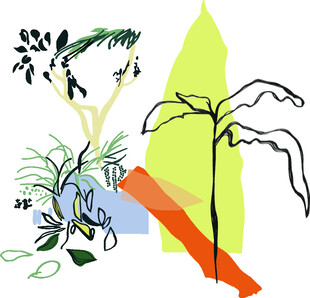 抽象植物几何图形插画