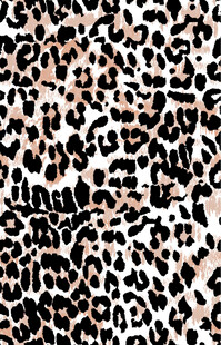豹纹图案纹理