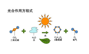 光合作用方式示意图 矢量图