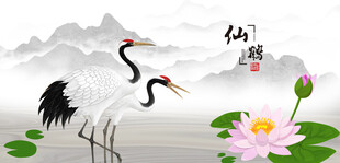 仙鹤白鹤丹顶鹤