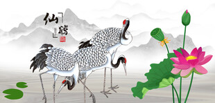 仙鹤白鹤丹顶鹤