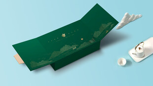 精品茶叶包装礼盒样机