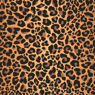 豹纹图案纹理背景图