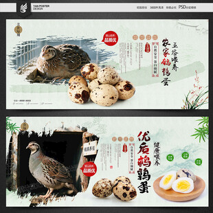 鹌鹑蛋海报