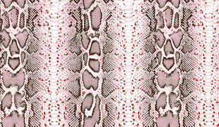 复古蕾丝花纹图案设计