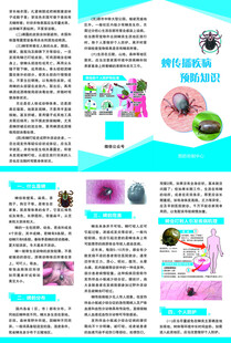 蜱虫传播疾病预防知识 三折页