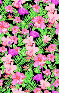 缤纷花丛绽放美丽花朵