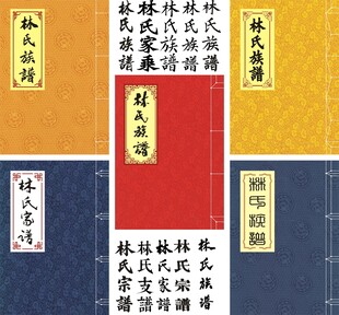 林氏家谱封面线装书