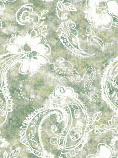 复古花卉佩斯利花纹图案